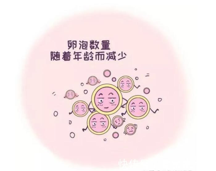 正规捐卵助孕中心