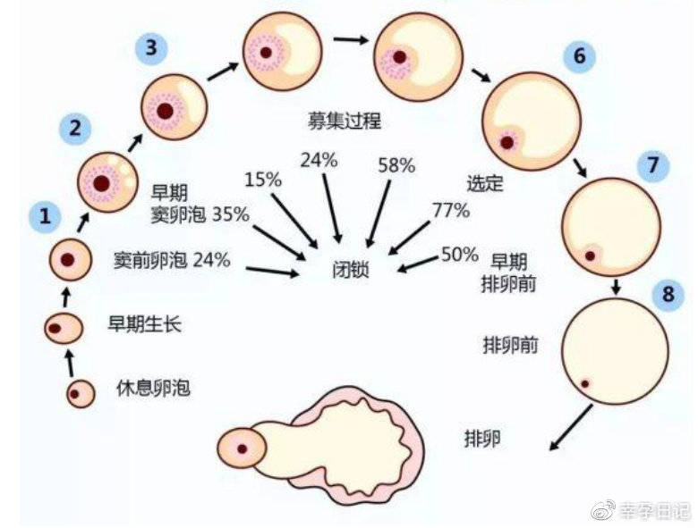 乐山捐卵试管中心医院