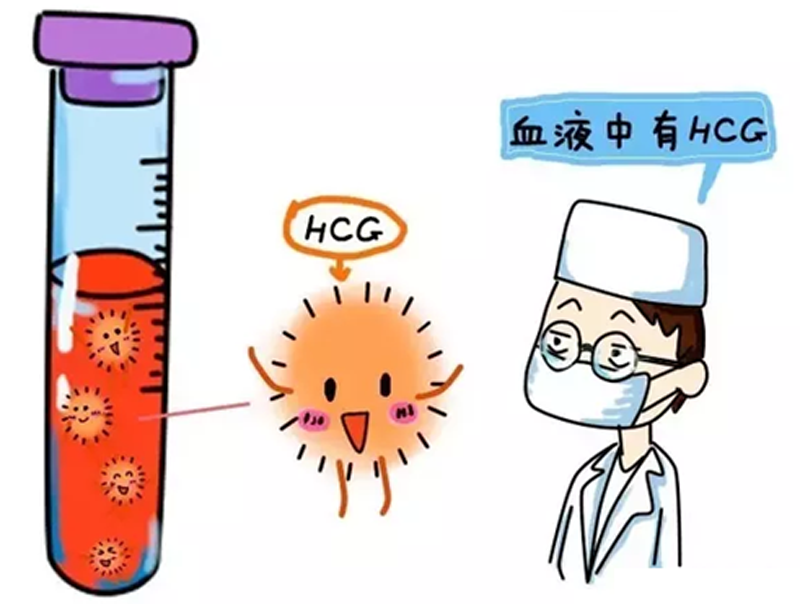 泸州捐卵公司电话